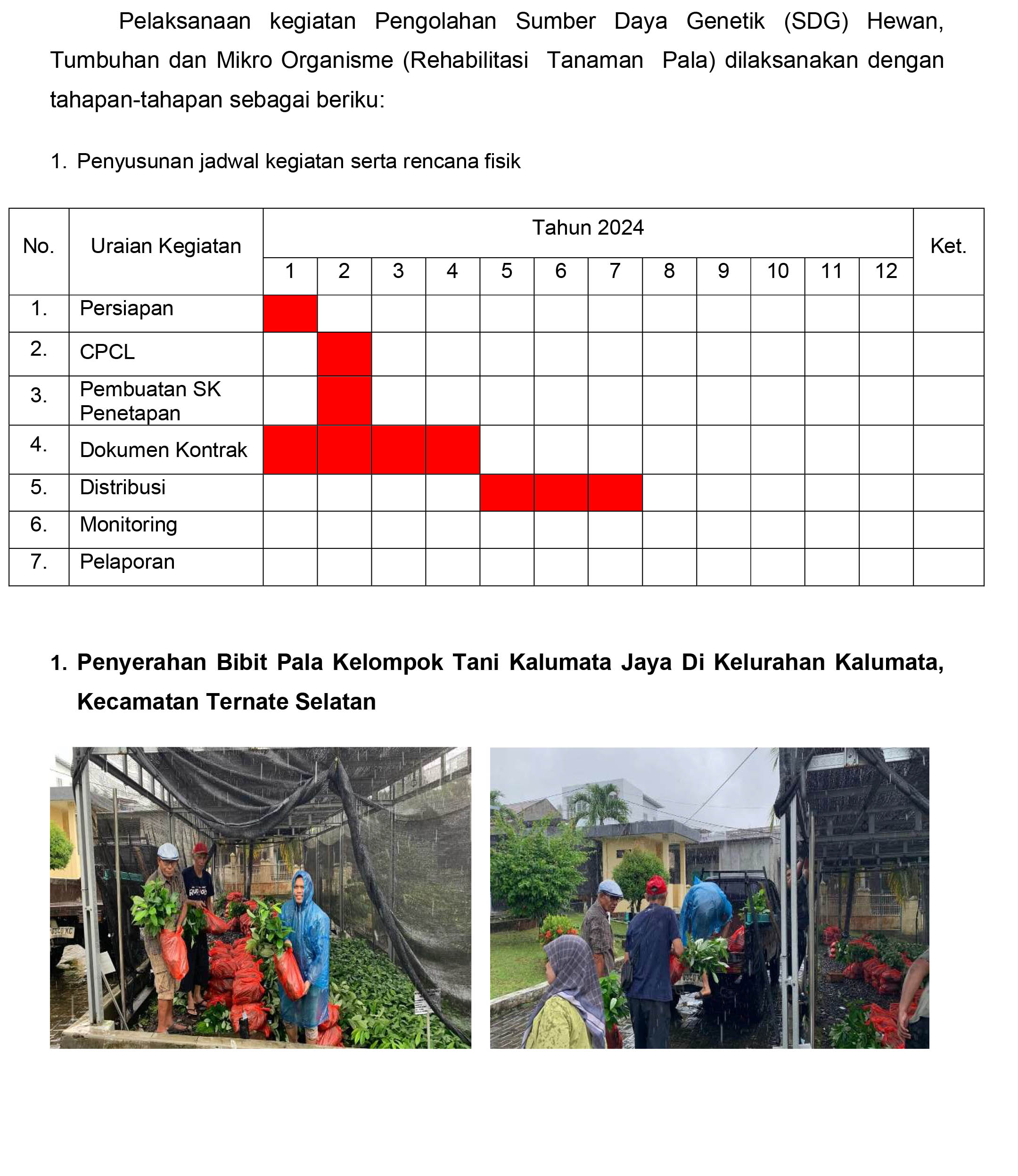 KEGIATAN REHABILITASI PALA 2025-3.jpg